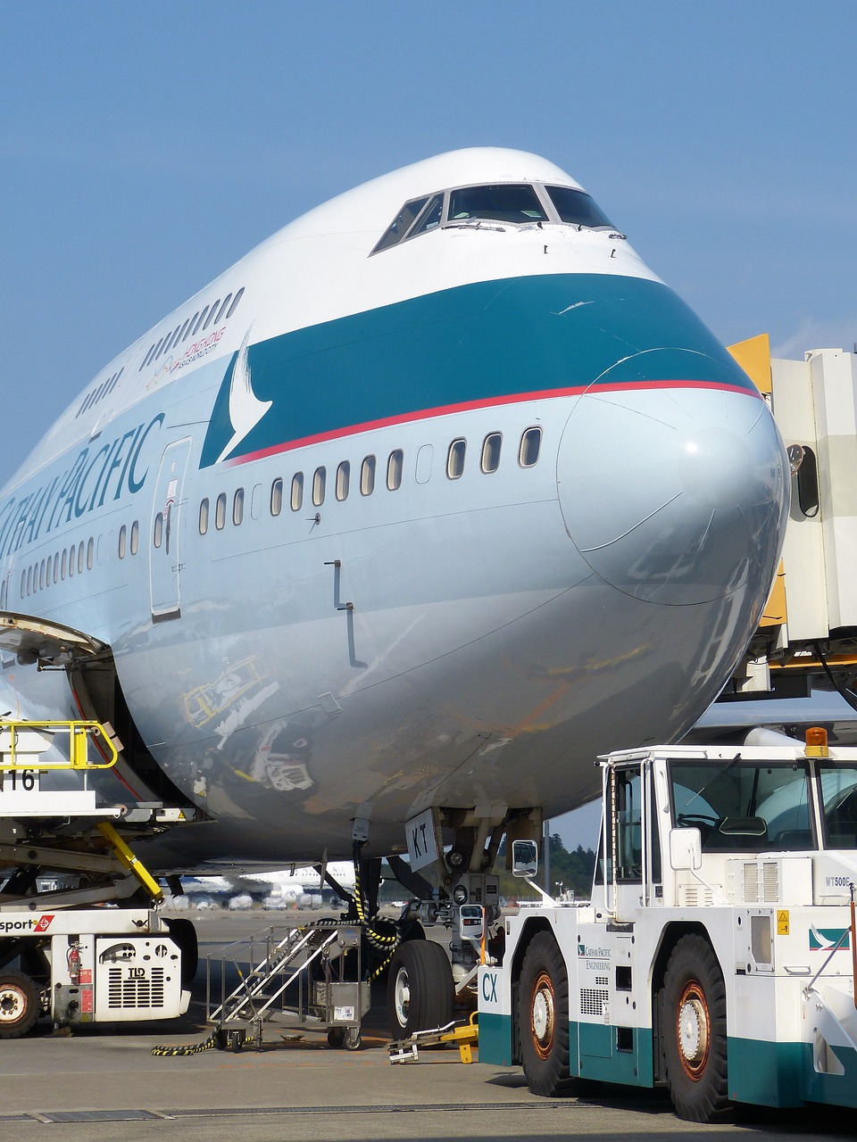 plane, airline, blue sky-352713.jpg